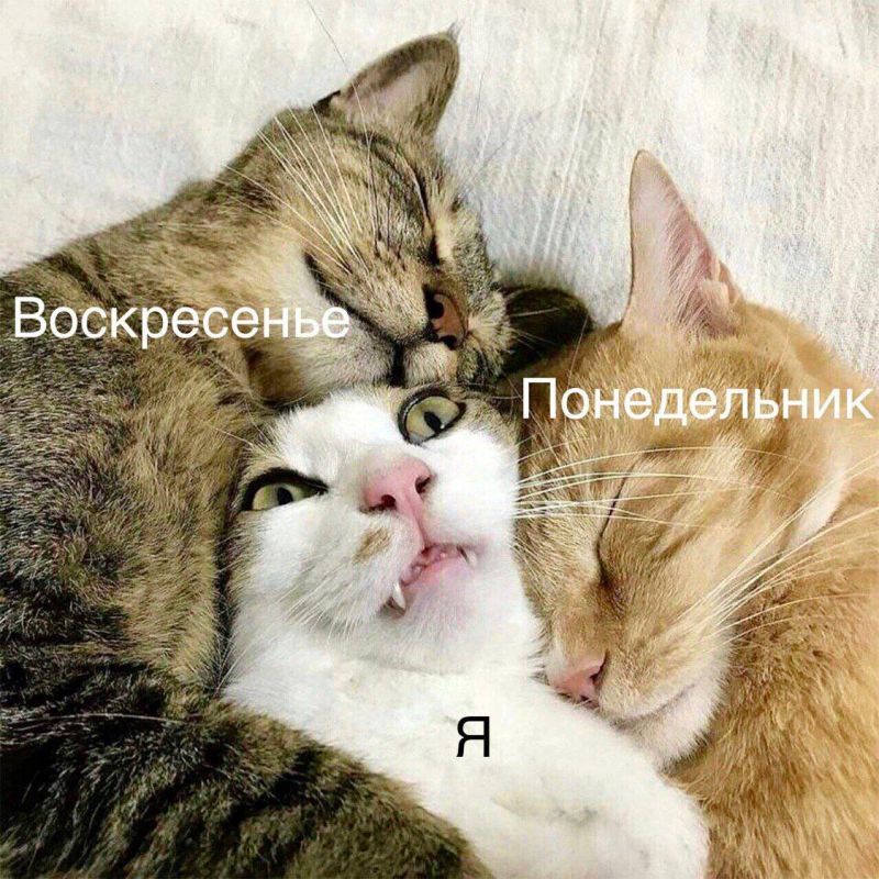 Доброе воскресное утро. По данным Бурятского Гидрометцентра 29 июня по республике: переменная облачность, местами по южной половине республики дожди, по юго-западу до сильных, местами грозы, возможен град
