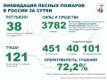 За прошедшие сутки в России потушено 38 лесных пожаров в 12 регионах