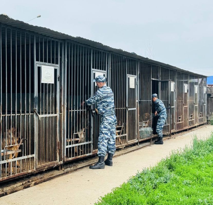 Полицейские-кинологи охранно-конвойных подразделений ОВД республики посоревновались в конкурсе профессионального мастерства