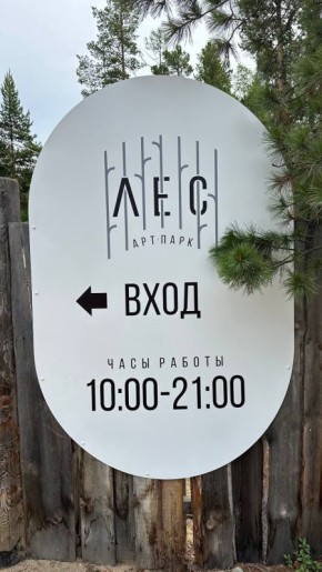 В Бурятии на берегу Байкала откроется арт-парк «Лес»