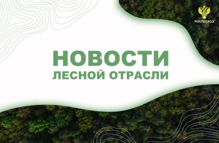 Известия: В Забайкалье ликвидировали лесные пожары на площади 250 тыс