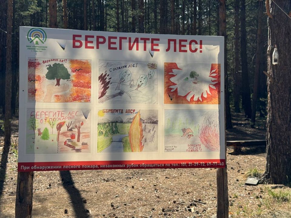 Дети просят беречь городские леса