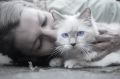 Эти ошибки совершают даже опытные кошатники: вот почему кошка шипит, когда ее гладят