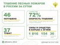 За прошедшие сутки в 13 регионах России потушили 46 лесных пожаров