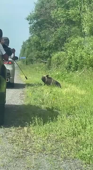 #.  ,       