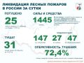 За прошедшие сутки в России потушено 25 лесных пожаров в 13 регионах