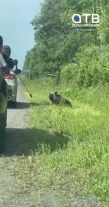 #.  ,       