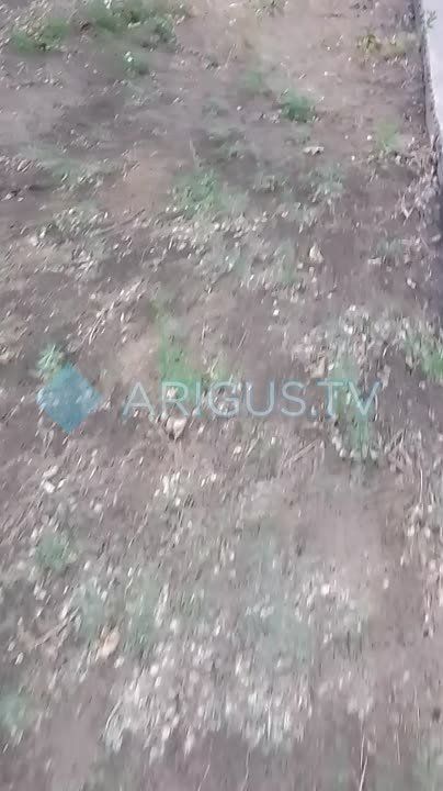  :    ?                 !