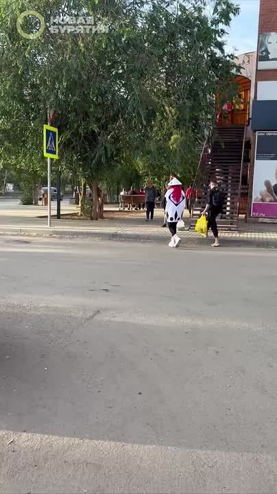       ,   ,  ,      :    - 