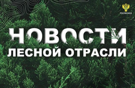 РИА Новости: Путин подписал закон о создании и содержании лесных дорог