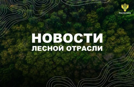 РИА Новости: Патрушев поручил ускорить обновление информации о лесных запасах России