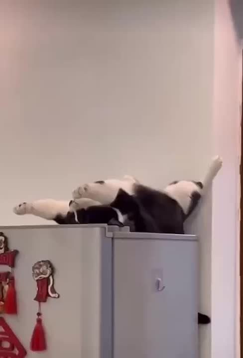  !   :   