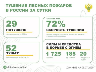 За прошедшие сутки в 11 регионах России потушили 29 лесных пожаров