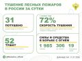 За прошедшие сутки в 16 регионах России потушили 31 лесной пожар