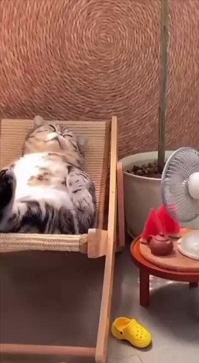 Доброе утро! Продолжаются выходные! Отдыхаем