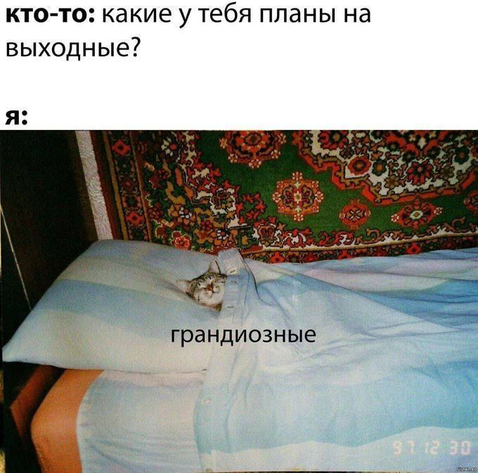  ).        ,  ,  