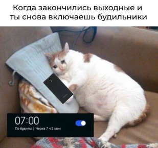  ). 14    , , ,  