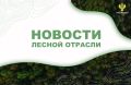 Сибирский Новостной: В лесах Красноярского края и Иркутской области осложняется лесопожарная обстановка