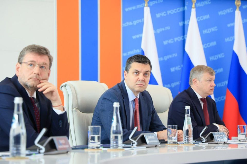 Прохождение пожароопасного сезона в регионах Центральной России, Сибири и Дальнего Востока обсудили на совещании в МЧС России
