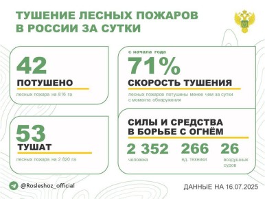 За прошедшие сутки в 17 регионах России потушили 42 лесных пожара