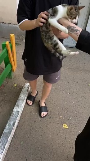   .  ,     (+ )     