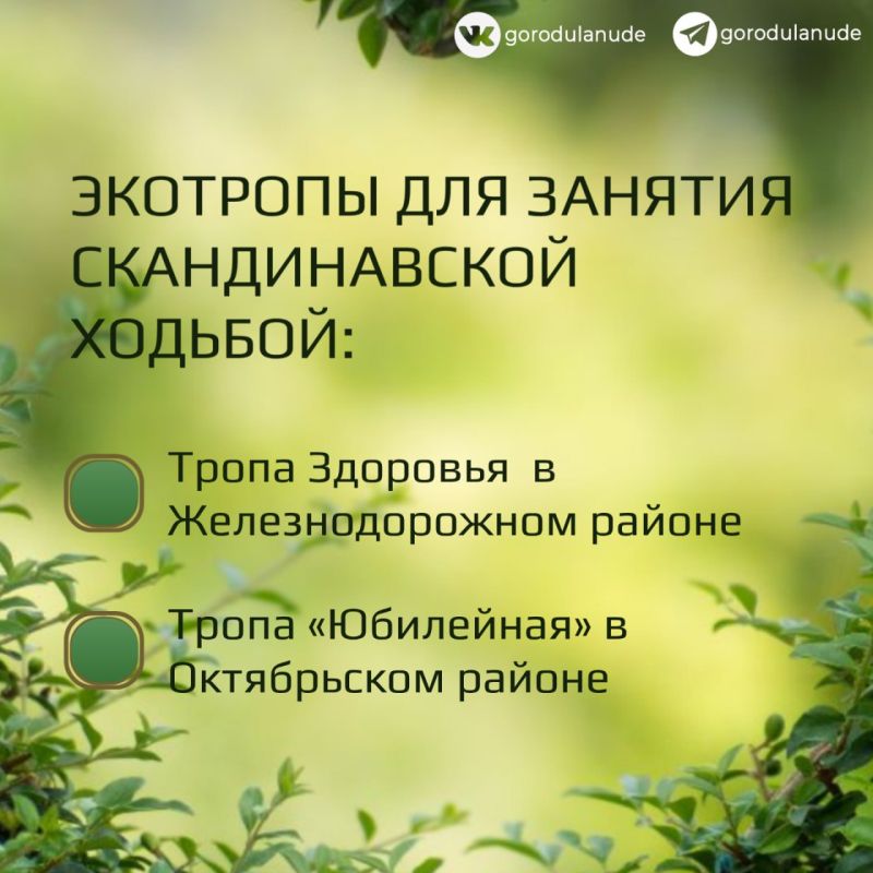 В Улан-Удэ продлили запрет на посещение лесов до 8 августа