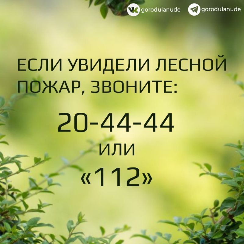 В Улан-Удэ продлили запрет на посещение лесов до 8 августа