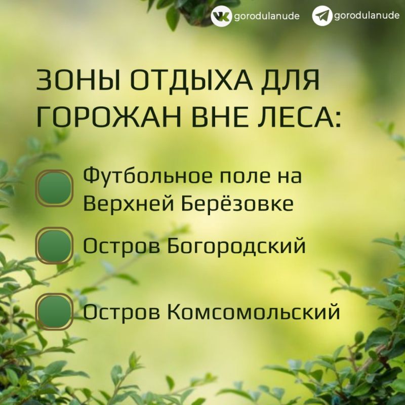 В Улан-Удэ продлили запрет на посещение лесов до 8 августа