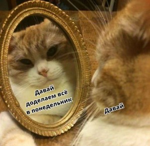  )  ). 18   :  ,   ,    , 