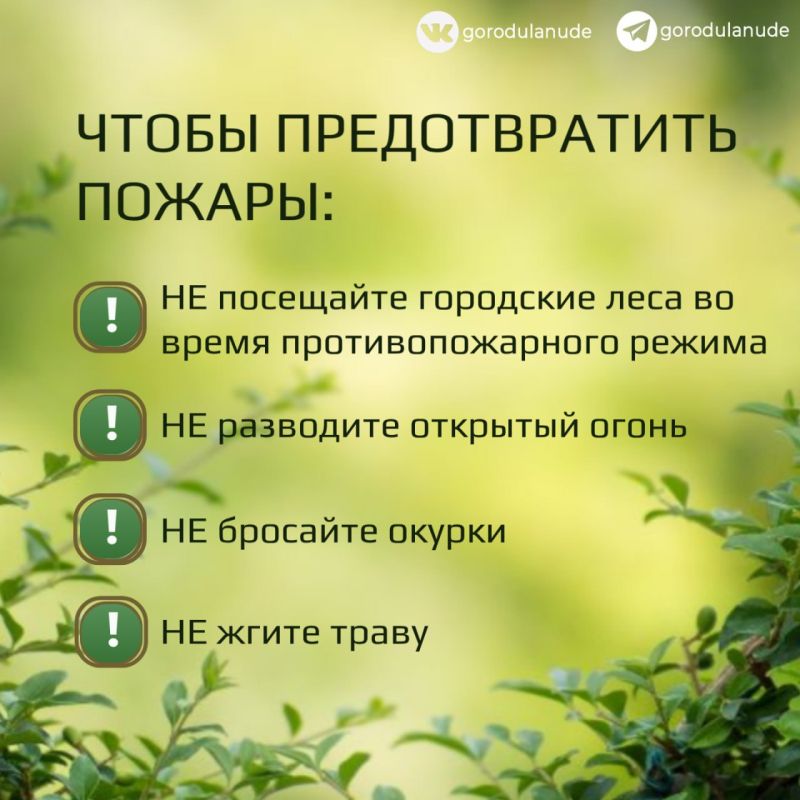 В Улан-Удэ продлили запрет на посещение лесов до 8 августа