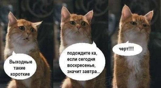  .     20        :  ,   ,   -  , 