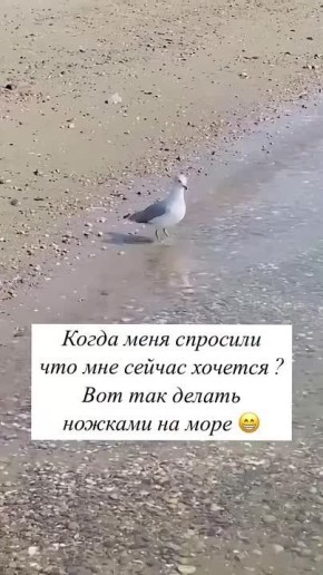  !        
