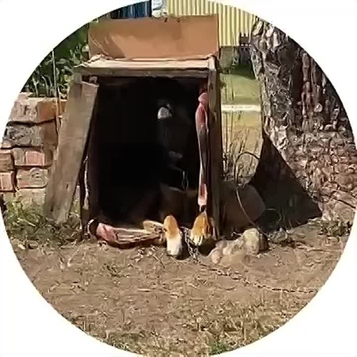  ?. ϸ         , ,    