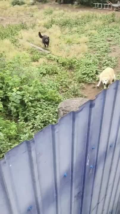   -  20     