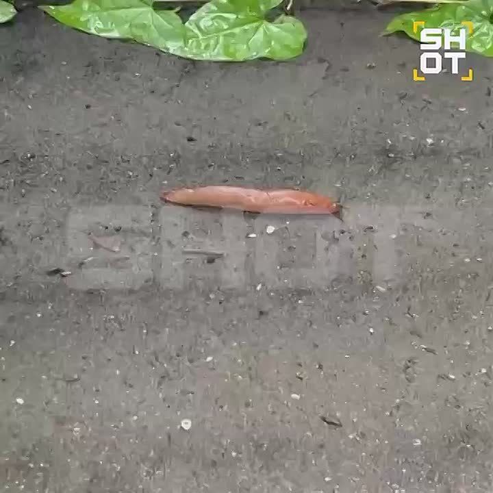  ,  ,   !                   