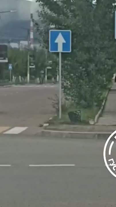   :      