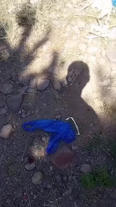   :      