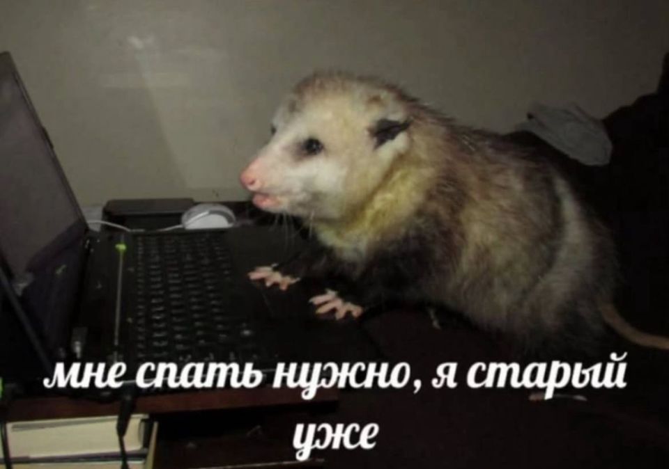  ). 11   :    ,    ,  , 