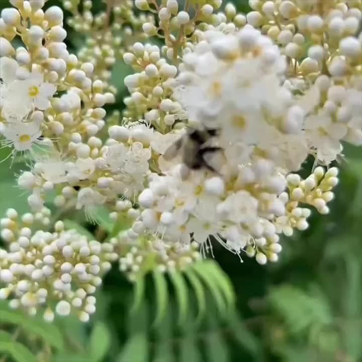  , -.        
