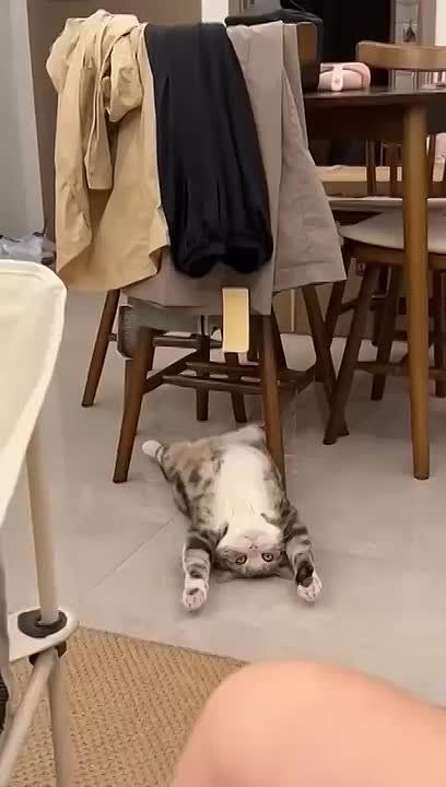  !    