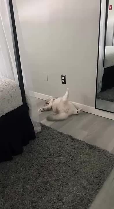  ,  !