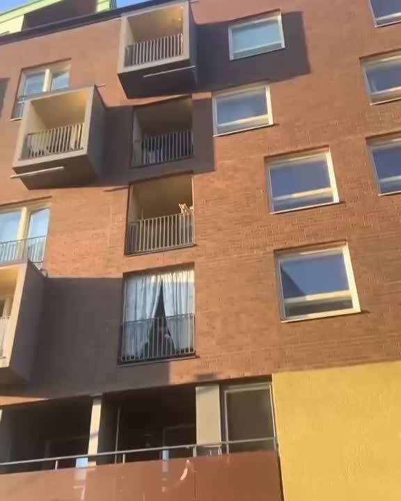  !.      