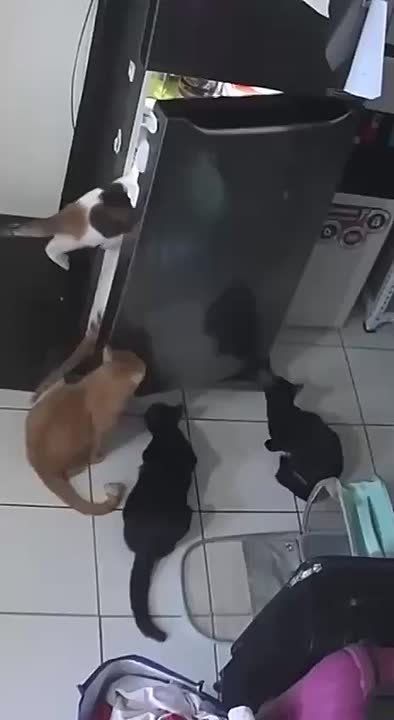  !.  ,      ,       