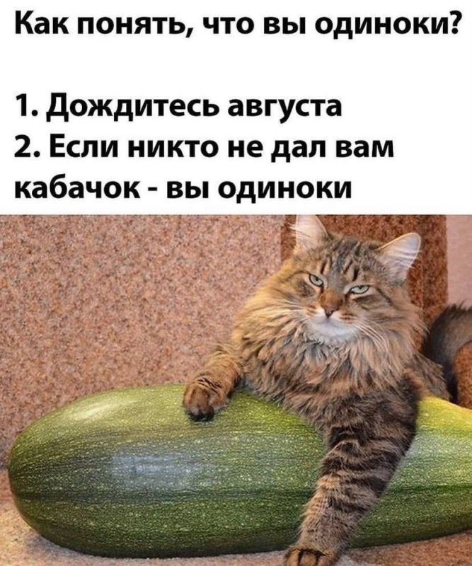  ). 22   :   , ,   