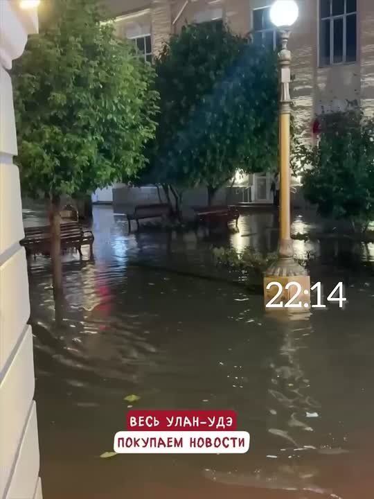   ,    :