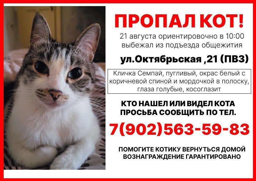 #