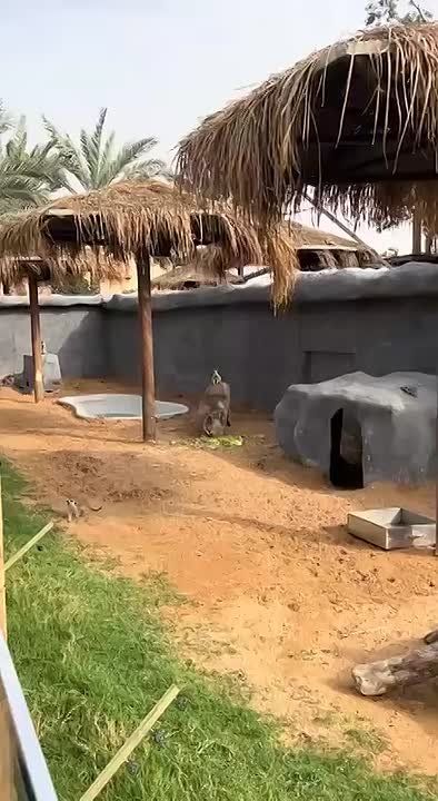  .  !        :  ,  