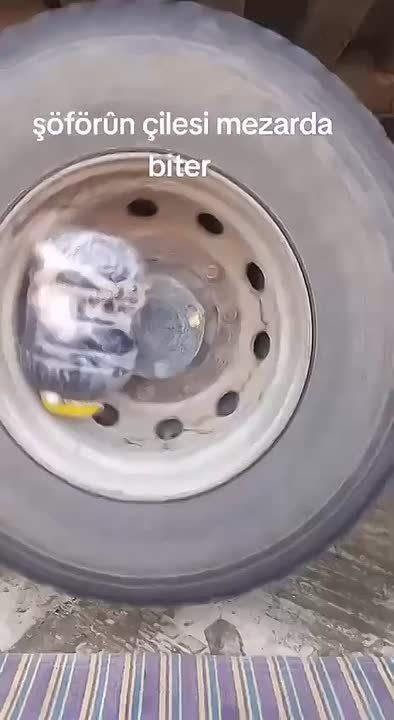         &quot; &quot;