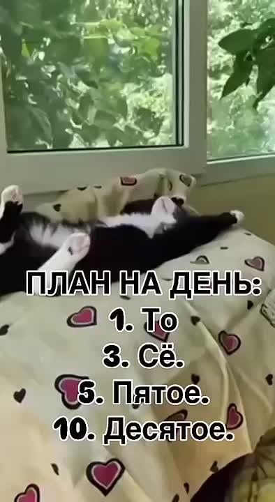   .  ,   