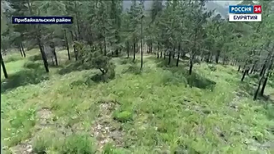        &quot;&quot;        